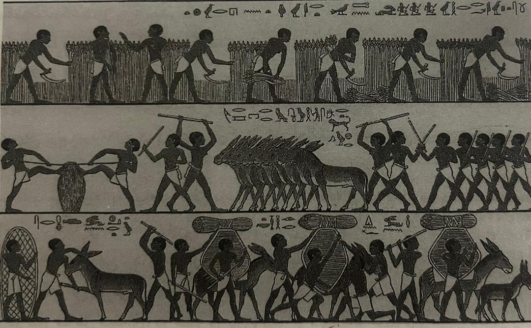 جایگاه رودنیل درتمدن مصرپیوست85